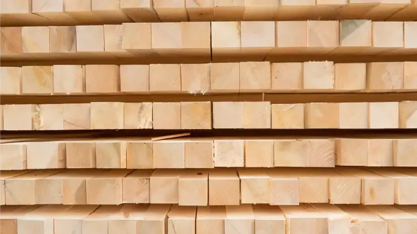 Balken Pfetten Leisten Holz Holzbau Zimmerei Oranienburg / Oberhavel - Zimmerei das grüne Haus